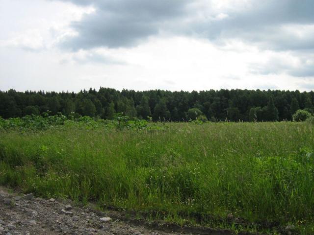 Ленинградская область, Терра Парк КП