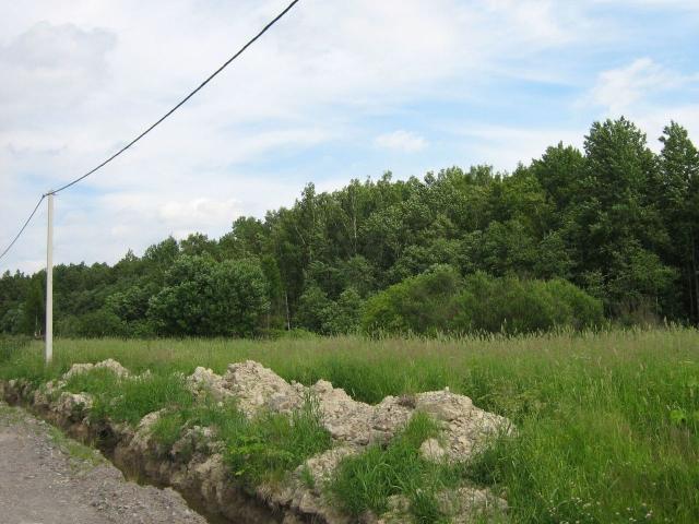 Ленинградская область, Терра Парк КП