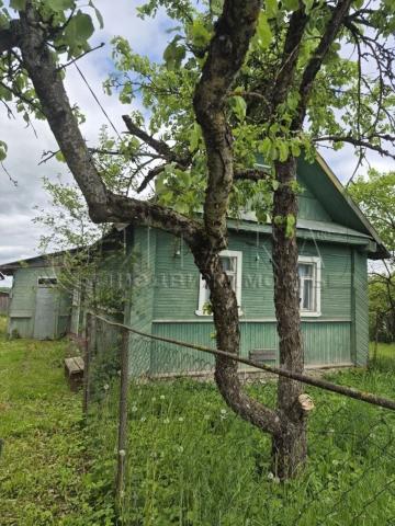 Паншино