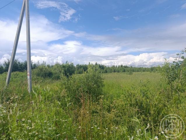 Колтушское городское поселение