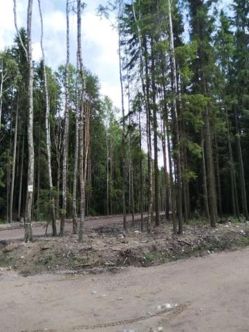 Ленинградская область, Всеволожск г.