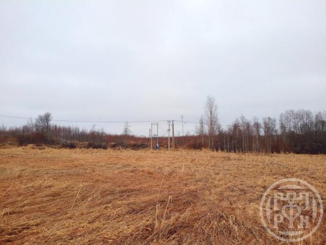 Красносельское пос.