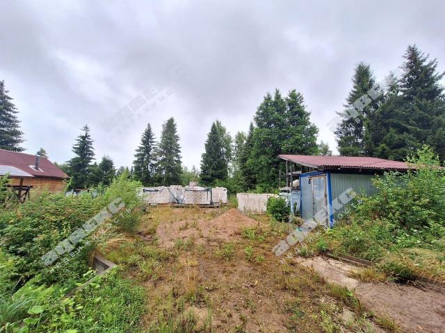 Ленинградская область, Пульман СНТ