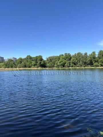 Петровский, 24к3