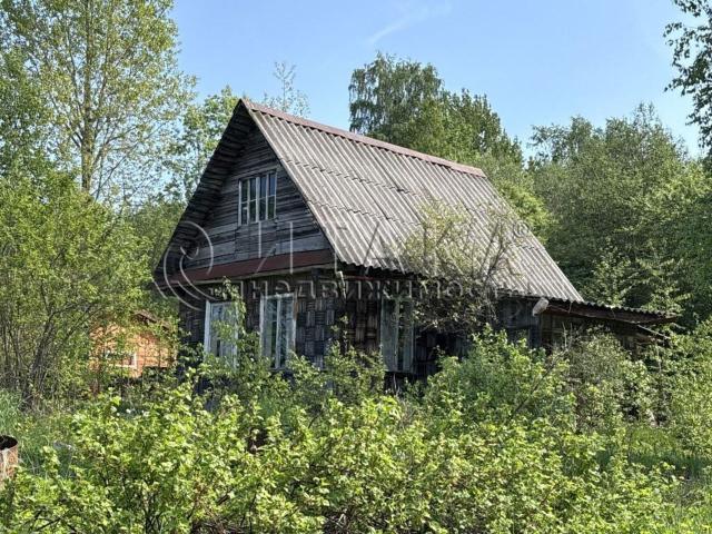 снт. Новинка-1