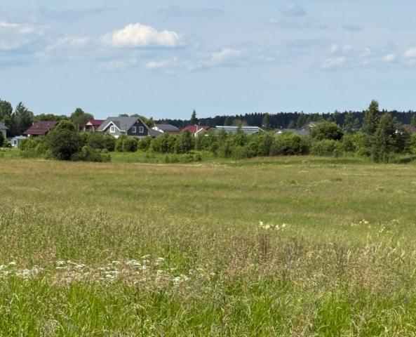 Ленинградская область, Виркино дер.