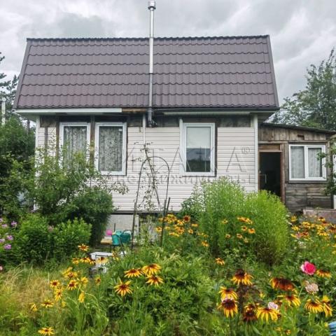 Парголово