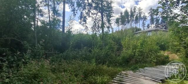 Всеволожск г., Семейный пер., д 1
