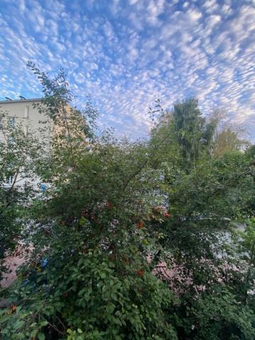 Ломоносов г., Александровская ул., д 33