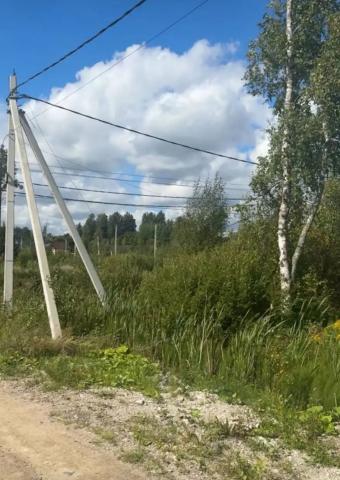 Полесье днп