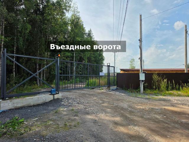 Ленинградская область, Корневские Гривки массив