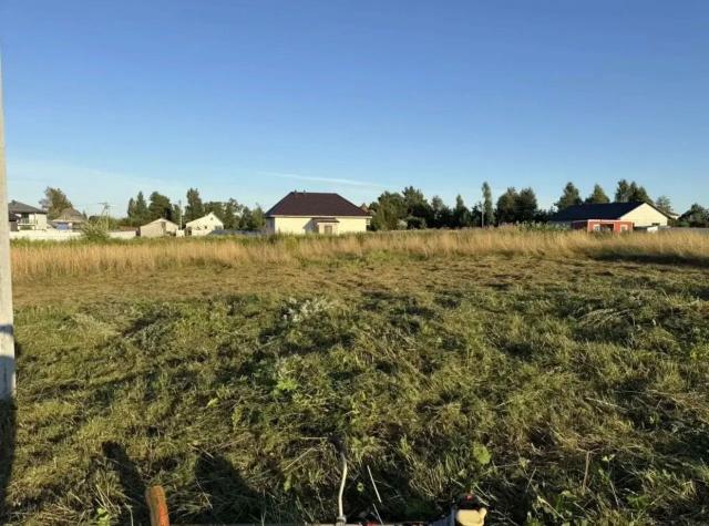 Ленинградская область, Романовка дер.