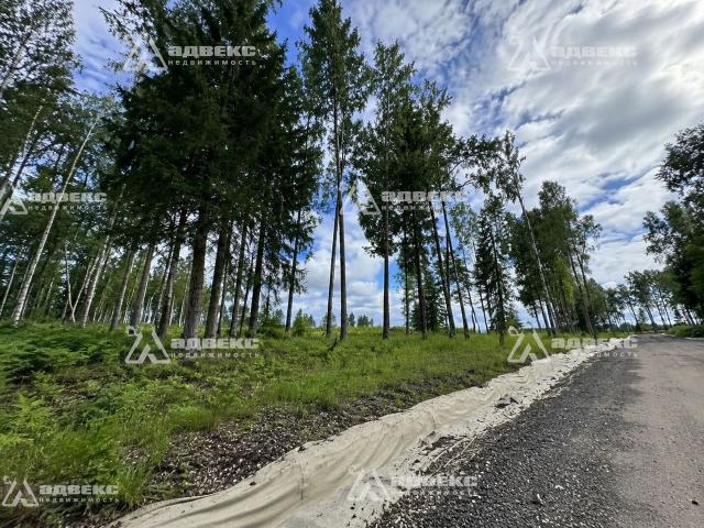 Ленинградская область, Куйвозовское сельское поселение