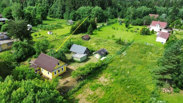Ленинградская область, Новые Низковицы дер.