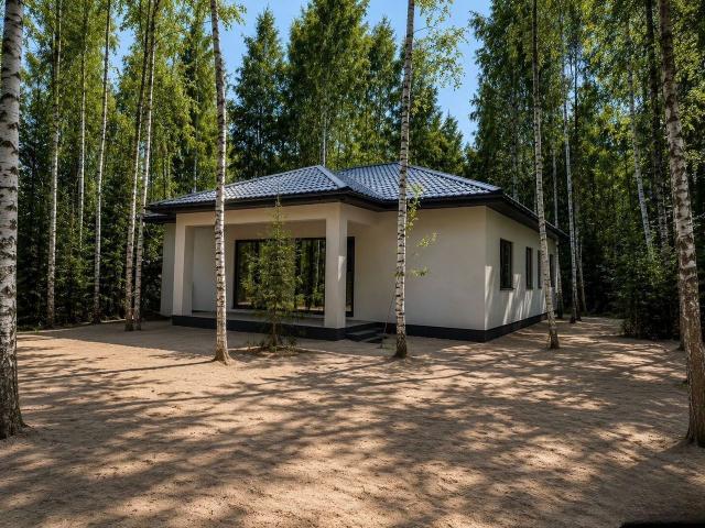 Ленинградская область, Всеволожское городское поселение