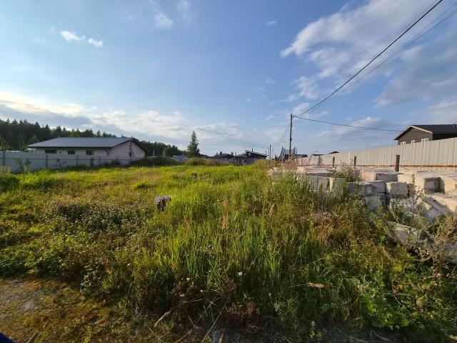 Ленинградская область, Перепелкино КП