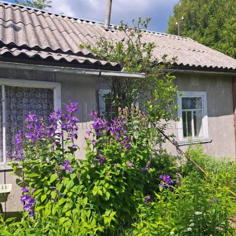 снт. Новинка