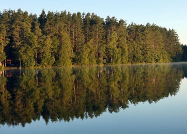 Ленинградская область, Зеленая Роща КП