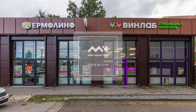 д. Новое Девяткино, Главная ул., 19