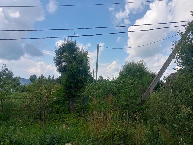 Карловка дер.