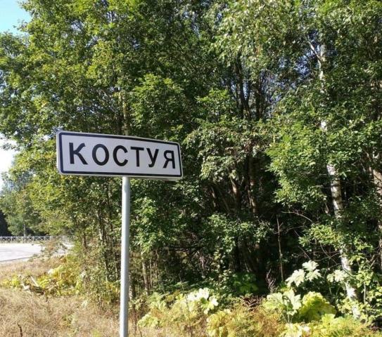 Костуя дер.