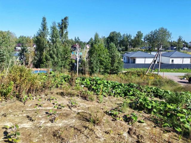 Колтушское городское поселение