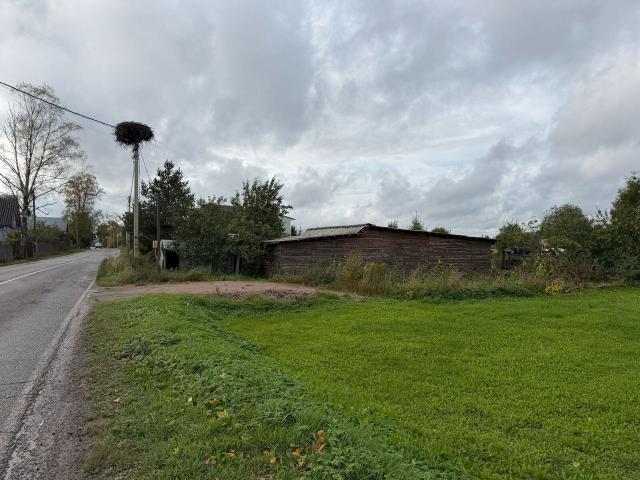 Ленинградская область, Еглизи дер., 16