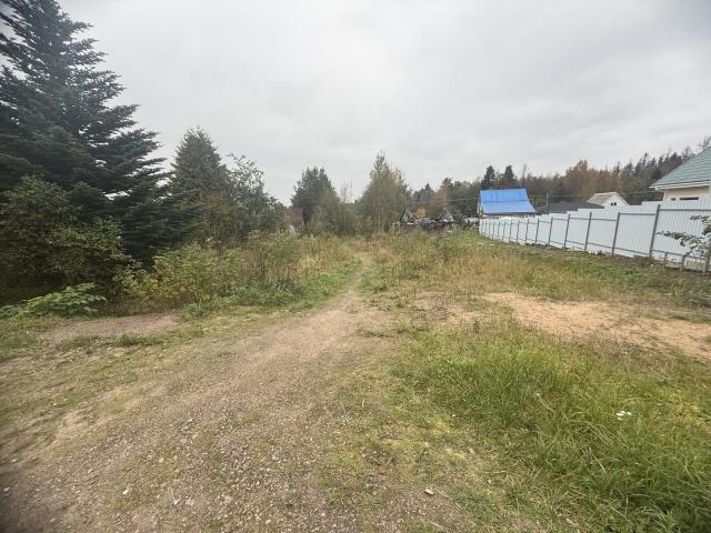Первомайское пос., Летняя ул.