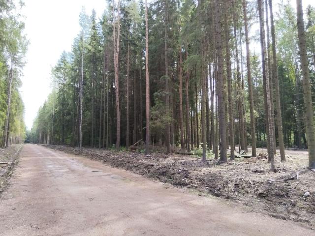 Ленинградская область, Всеволожск г.
