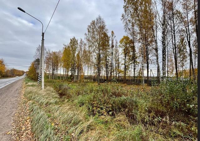 Всеволожский район, Массив Скотное территория