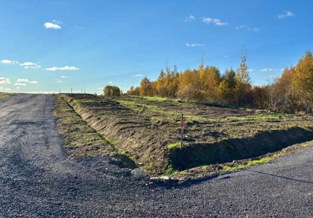Всеволожский район, Массив Скотное территория