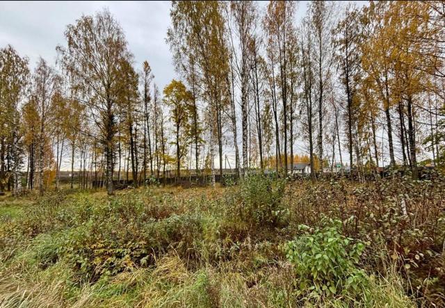 Всеволожский район, Массив Скотное территория