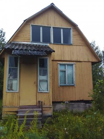 Мшинская массив, Самсон снт