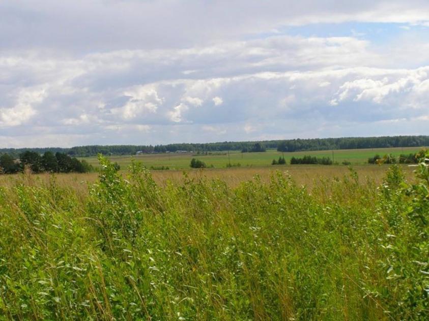 Земля Сельхозназначения Купить Клинский Район