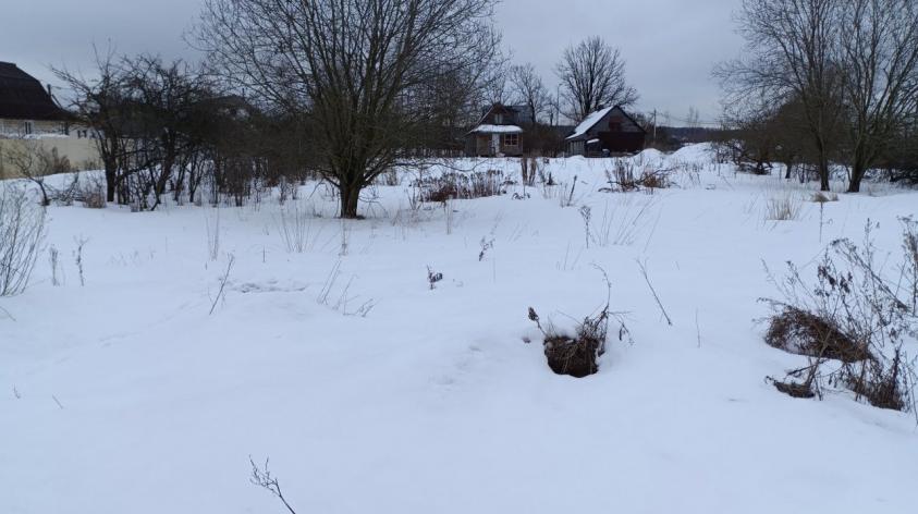 Статус земельного участка. Земельный участок по кадастровому номеру. Правовой статус оопт. Земли населённых пунктов для ведения личного подсобного хозяйства. Статус участка сзу.