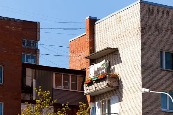 Петергофская «самодеятельность»