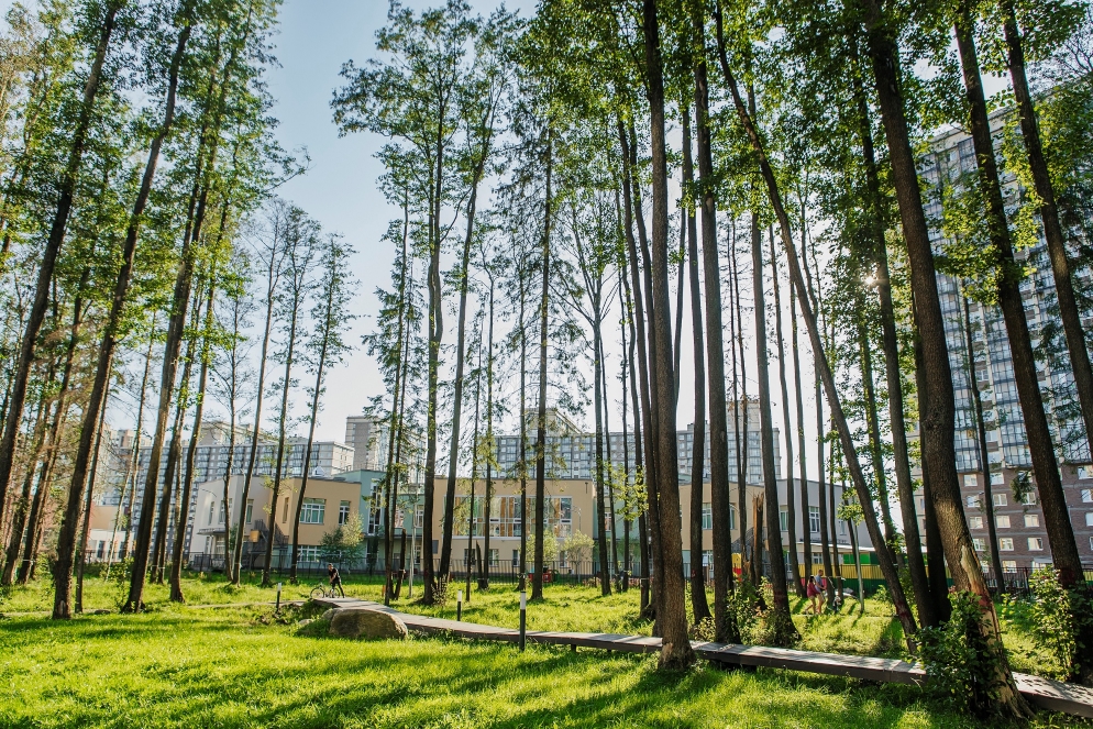 ��������� ����� � ����� �������� ���� ��-2026�