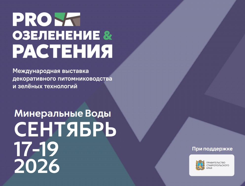 � ����������� ����� ������� ������� ������������� �������� ������������� ���������������� � ������ ���������� �PRO ���������� & �������߻