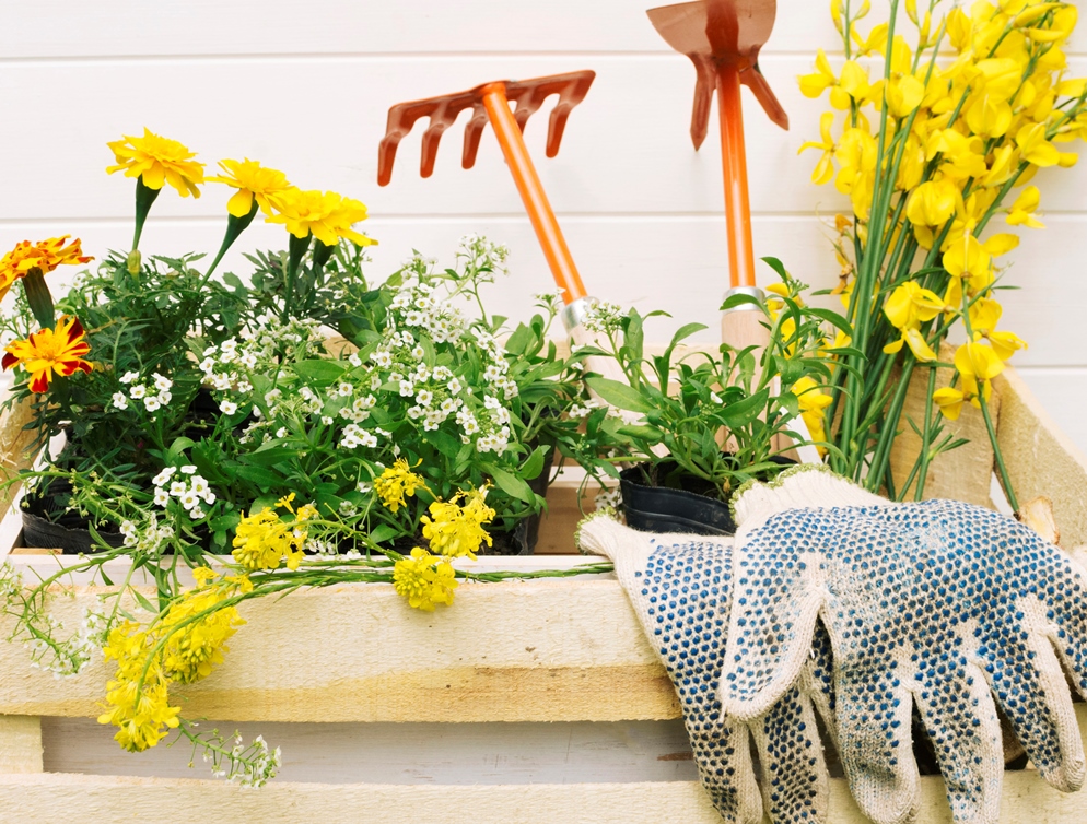 ����������� � ����� ����������: �������� ��� ����������